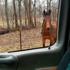 Meet your Posher, Debra